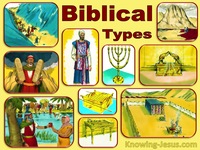 Exodus and Leviticus ?
